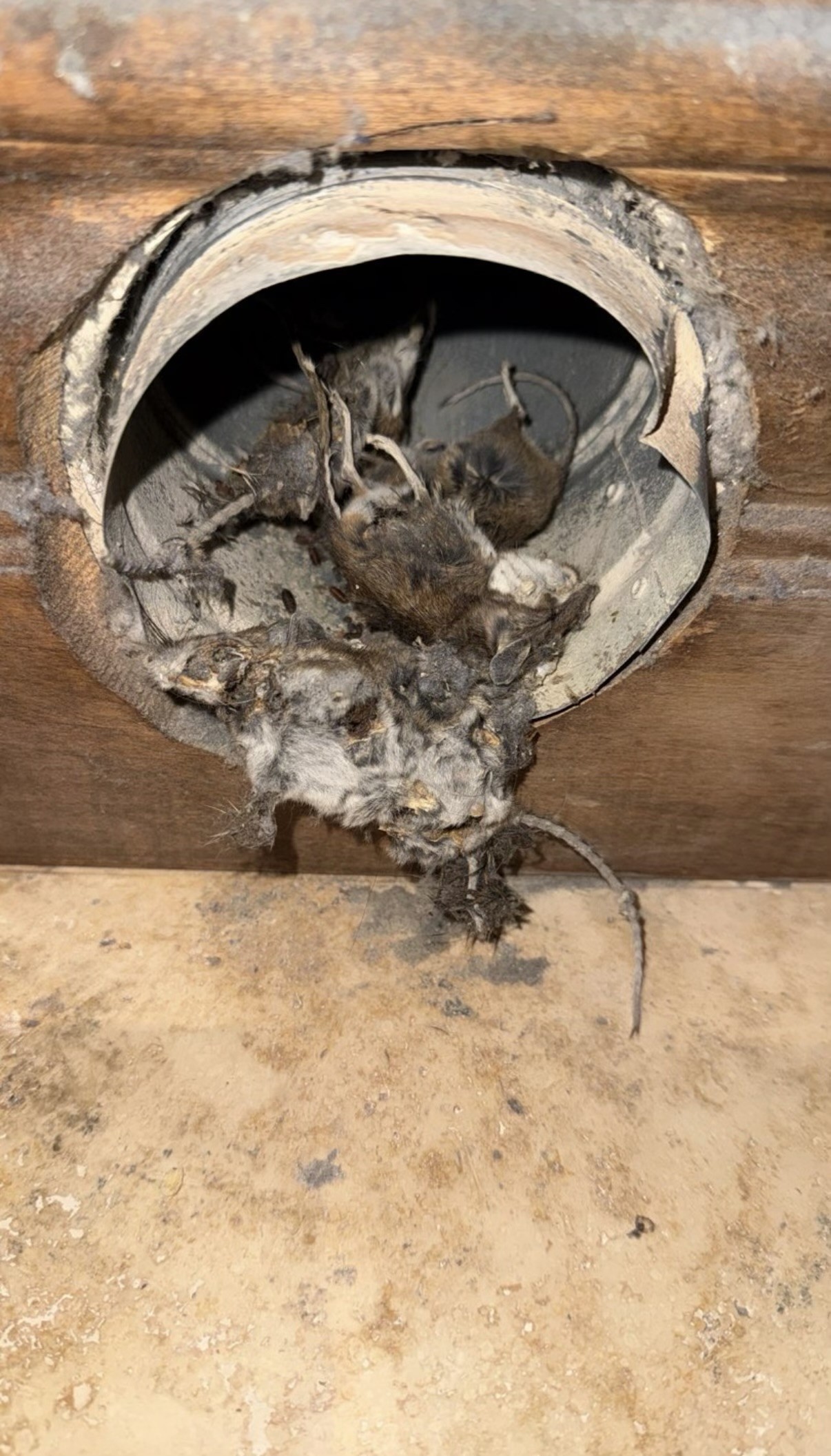 affordable dryer vent cleaning san diego california