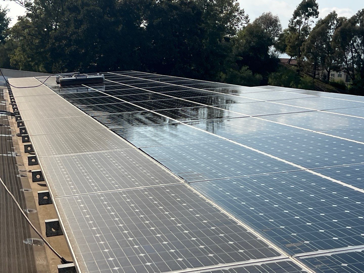 How Dirty Solar Panels Impact Energy Production for Businesses