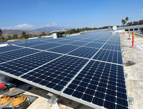 How Dirty Solar Panels Impact Energy Production for Businesses